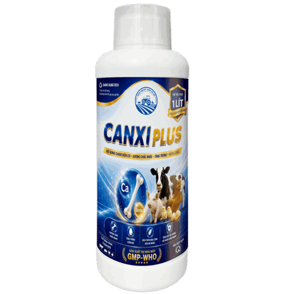 CANXI PLUS