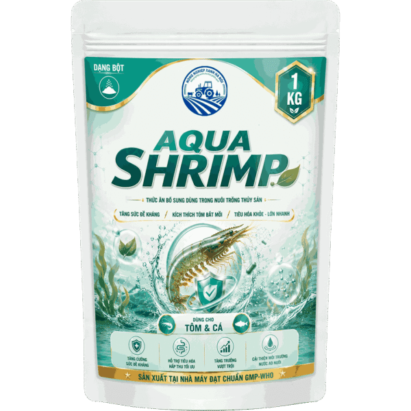AQUA SHRIMP