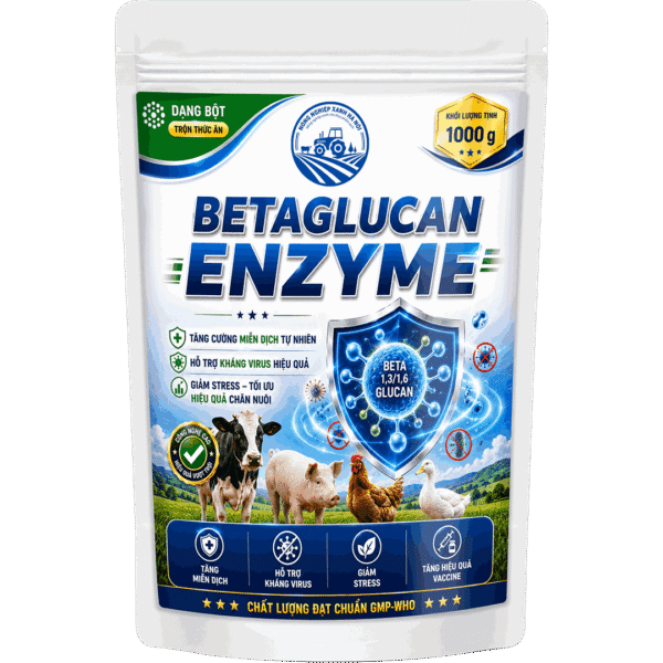 BETAGLUCAN ENZYME