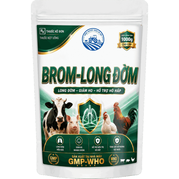 BROM-LONG ĐỜM