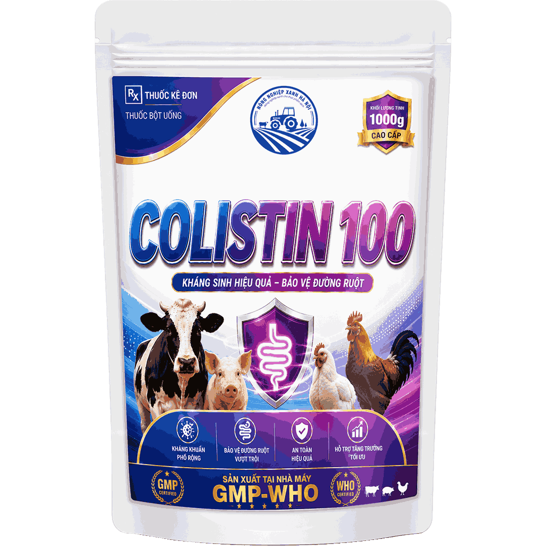 COLISTIN 100
