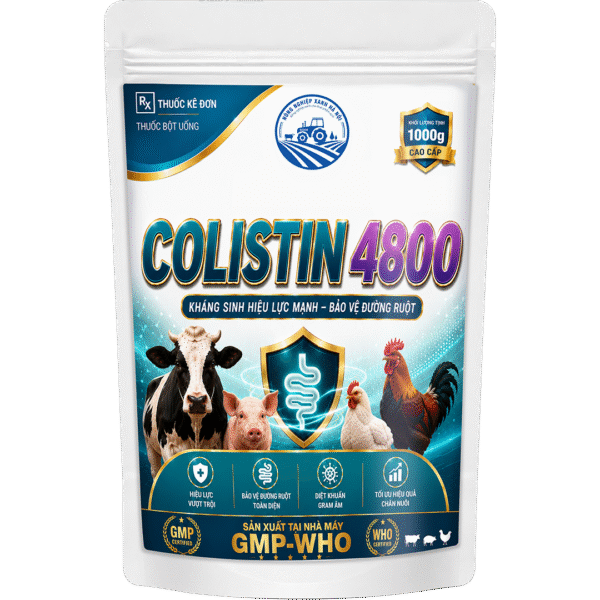 COLISTIN 4800