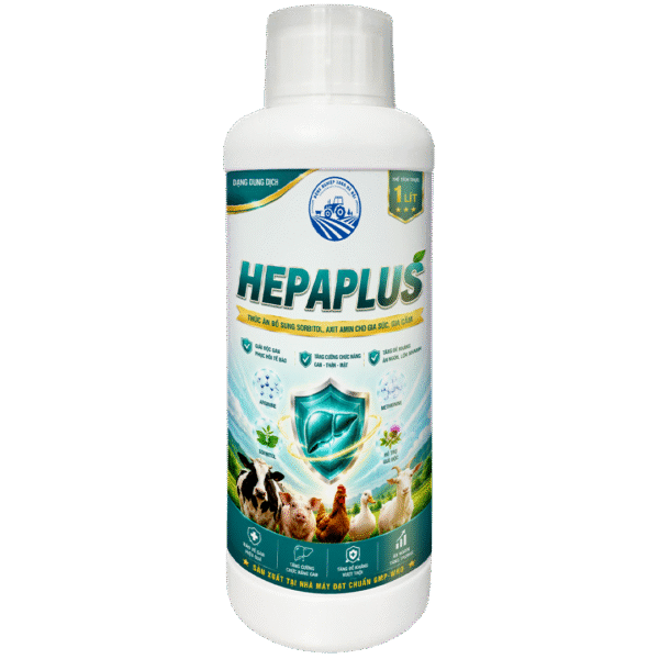 HEPAPLUS