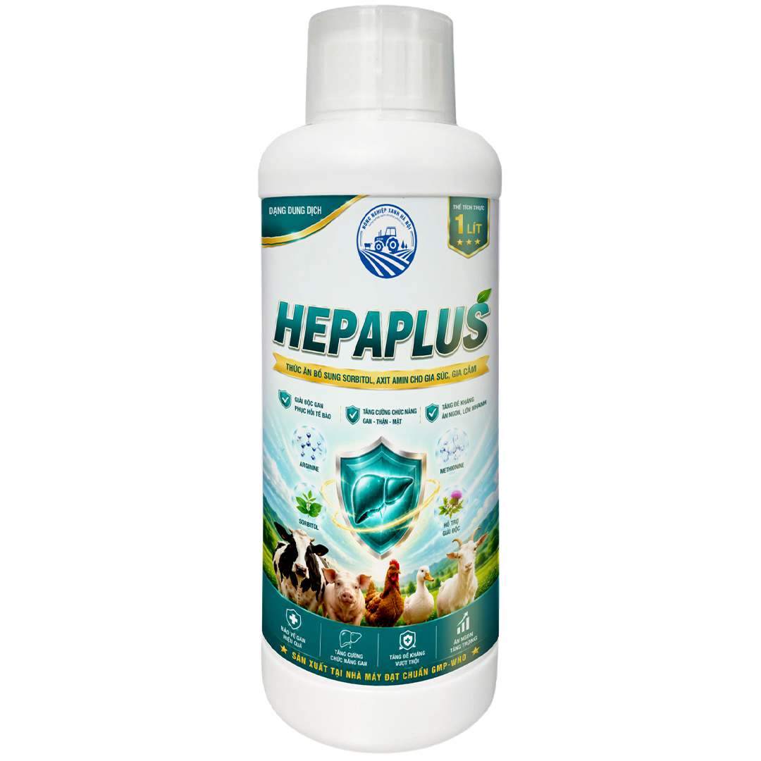 HEPAPLUS