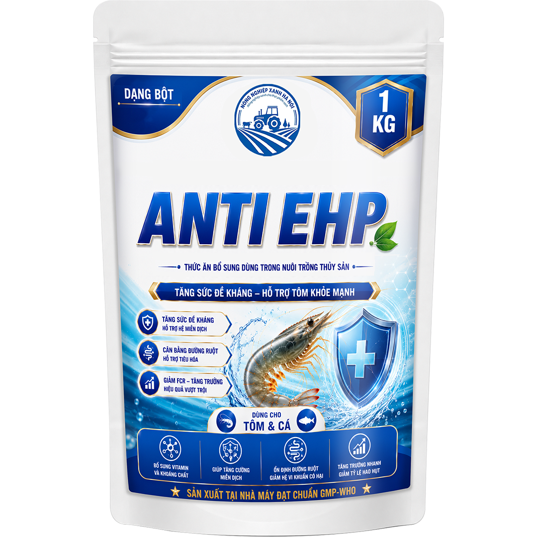 ANTI EHP