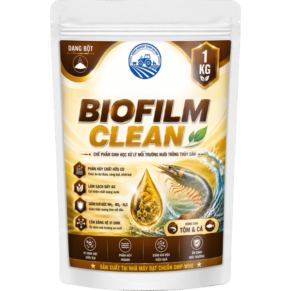 BIOFILM CLEAN