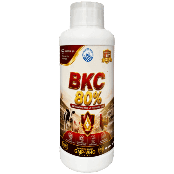 BKC 80%