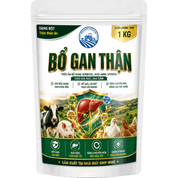 BỔ GAN THẬN