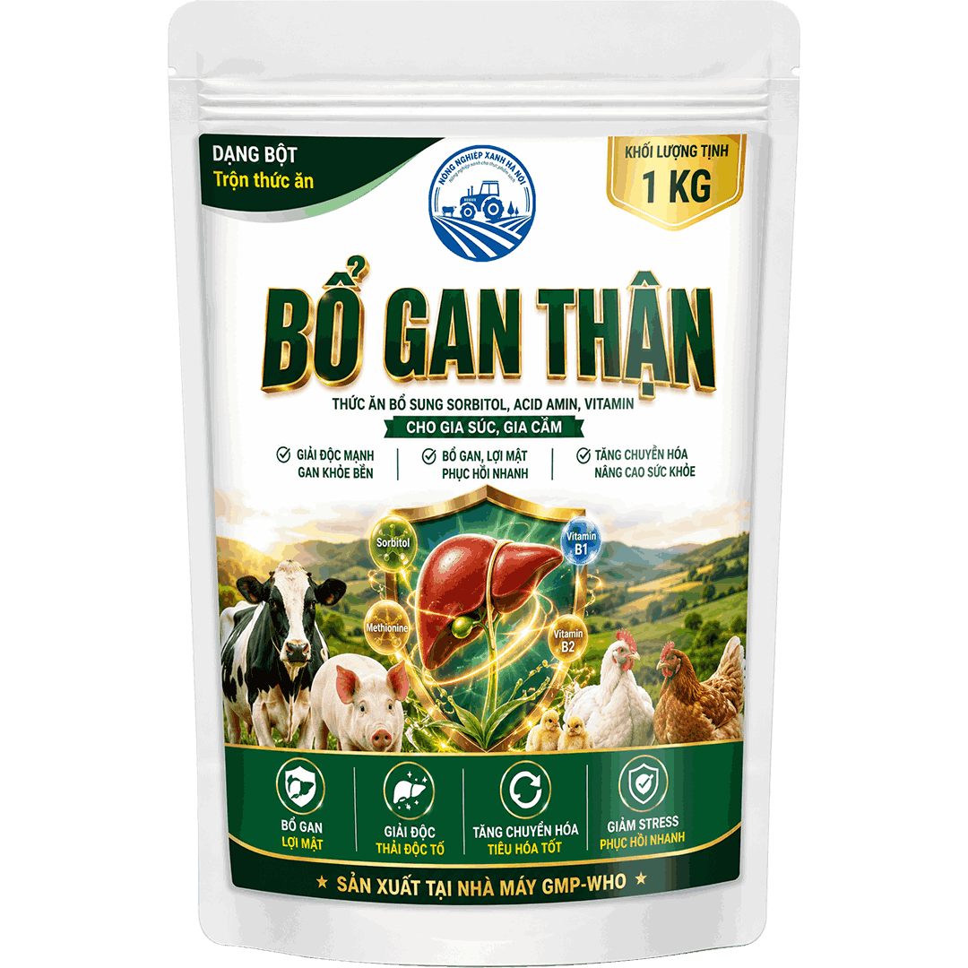 BỔ GAN THẬN