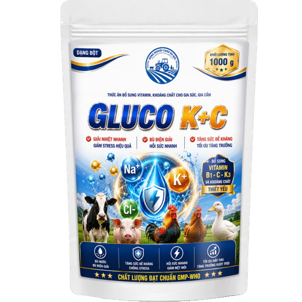GLUCO K+C