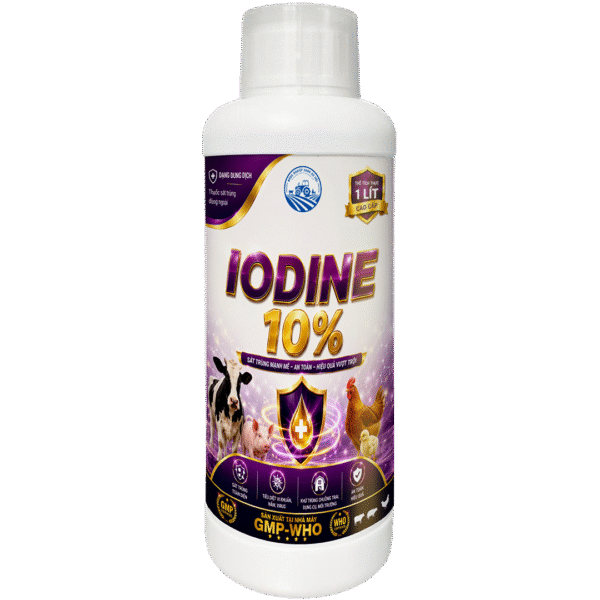 IODINE 10%
