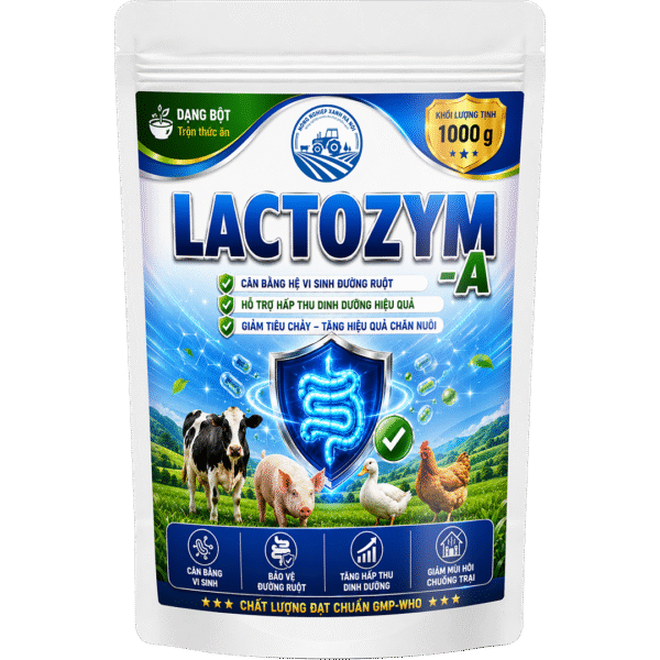 LACTOZYM – A