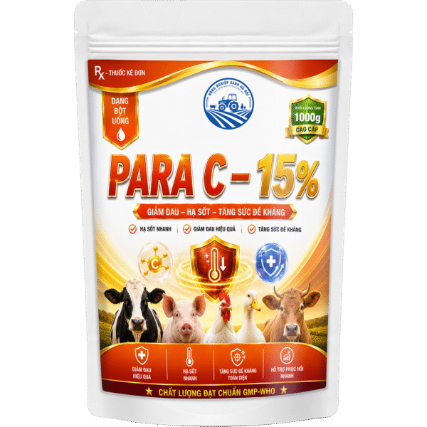 PARA C – 15%