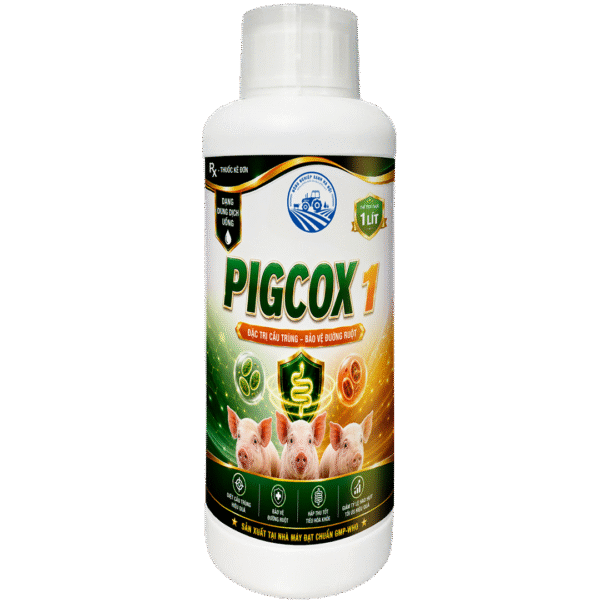 PIGCOX 1