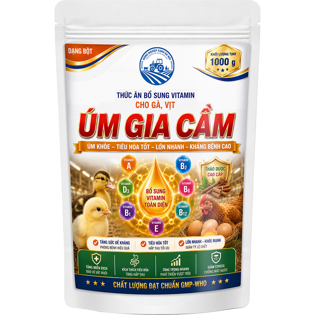 ÚM GIA CẦM