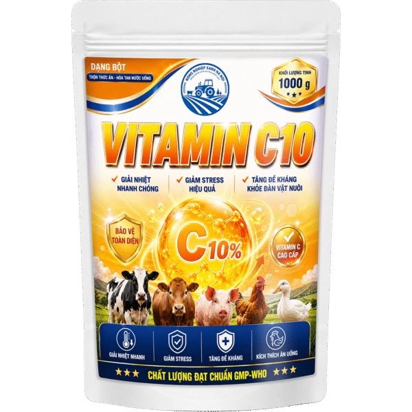 VITAMIN C10