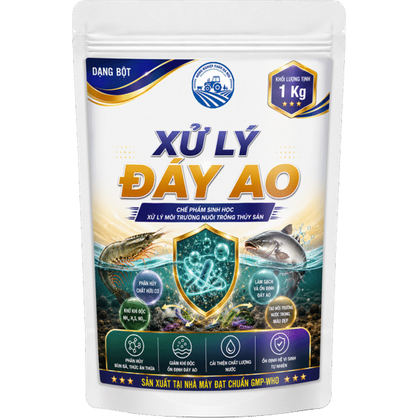 XỬ LÝ ĐÁY AO