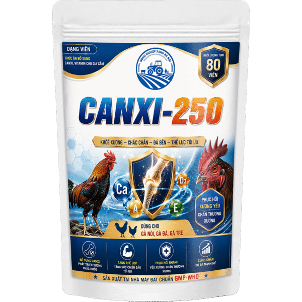 CANXI-250