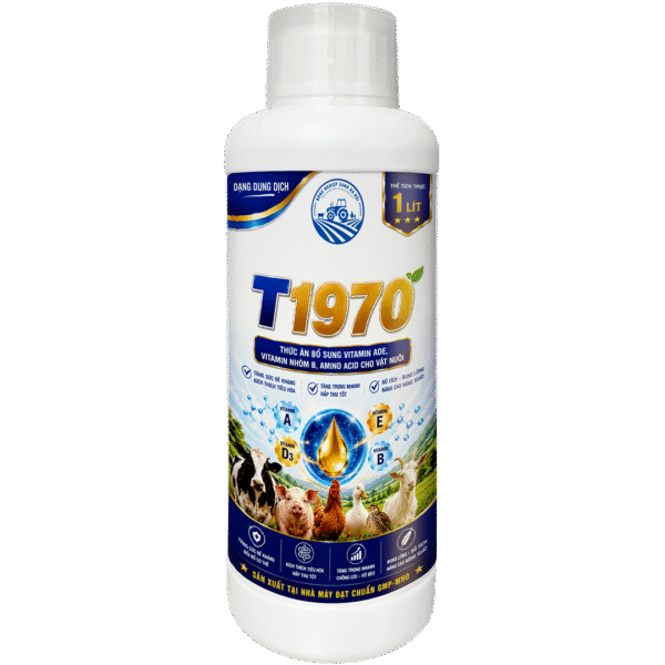 T1970