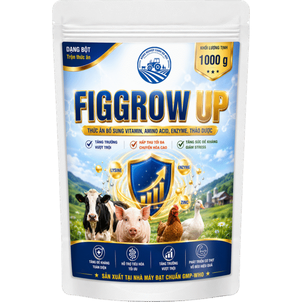 FIGGROW UP
