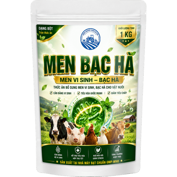 MEN BẠC HÀ