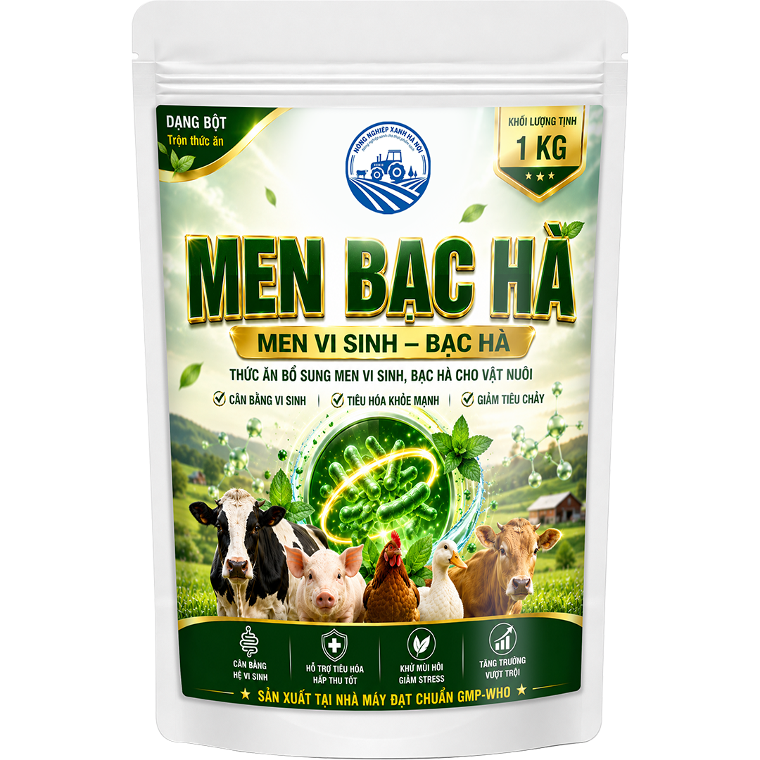 MEN BẠC HÀ